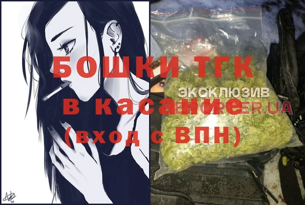 spice Богородск